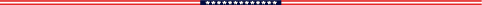 flagbar gif