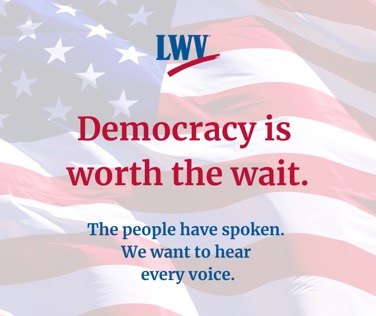 Facebook post - Democracy is worth the wait.