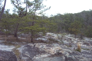 Moss Rock Preserve jpg